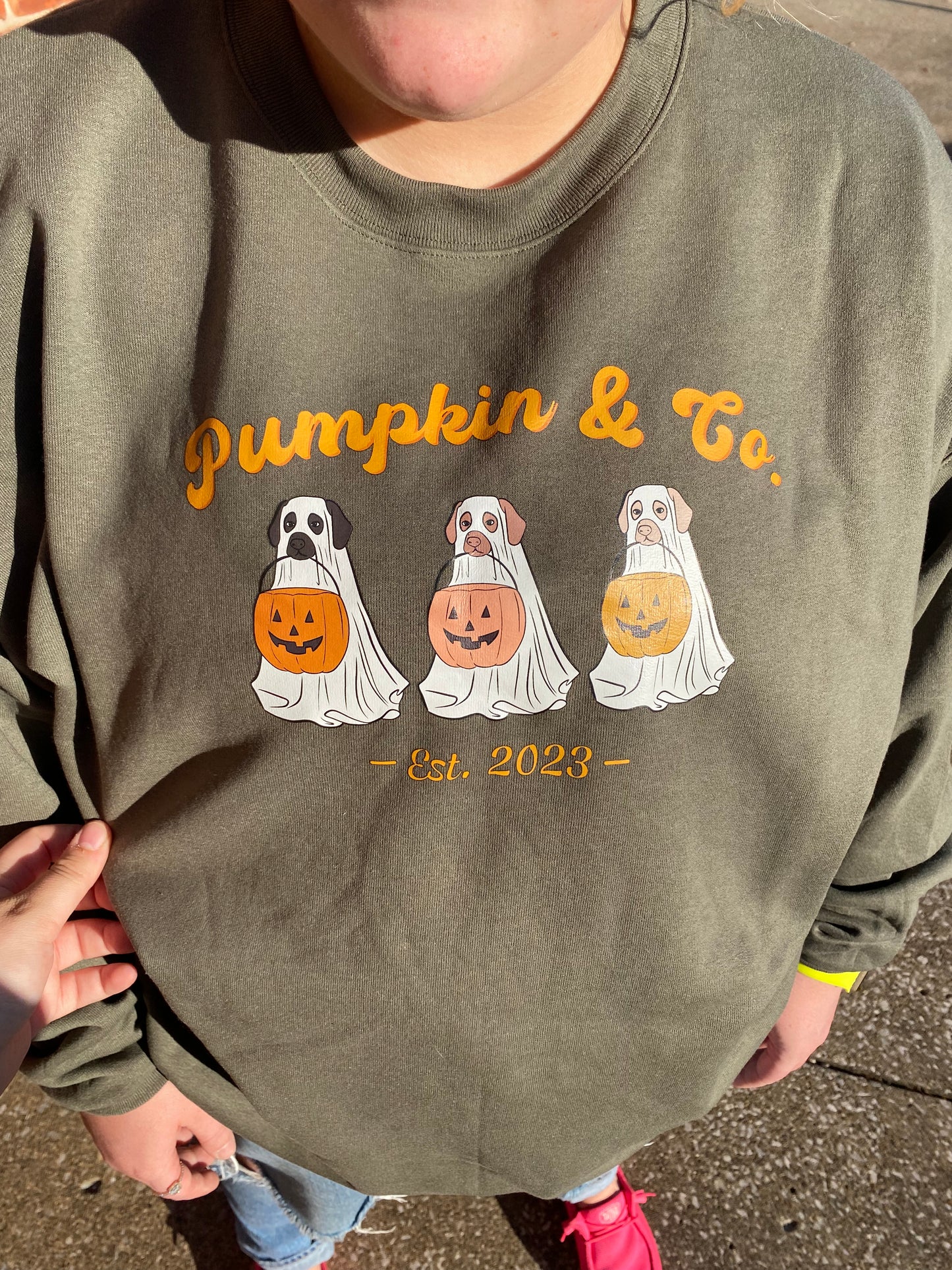 Pumpkin and Co. Crewneck